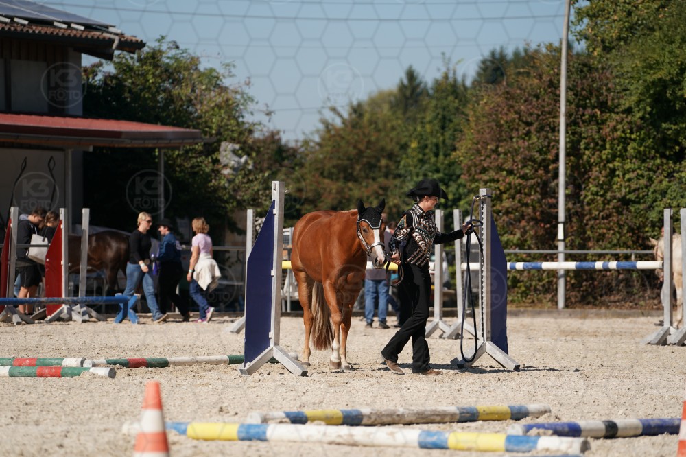 s_A_907713.JPG